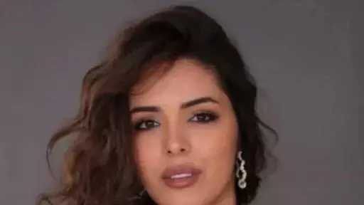 الفن