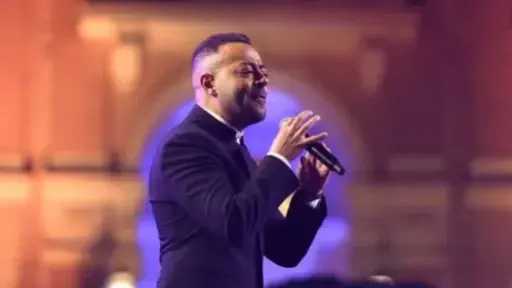 الفن
