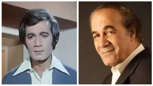 الفن