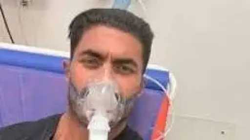 الفن