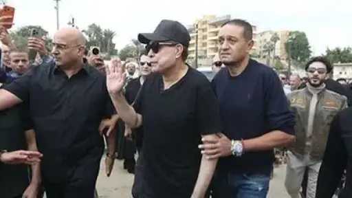 الفن