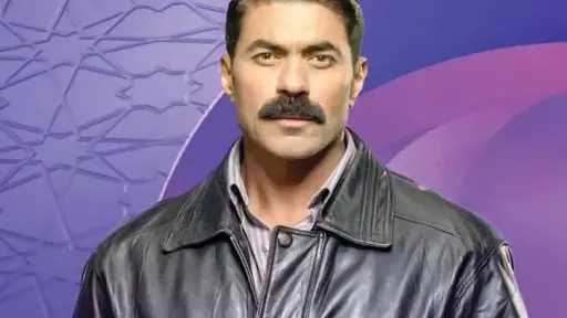 الفن