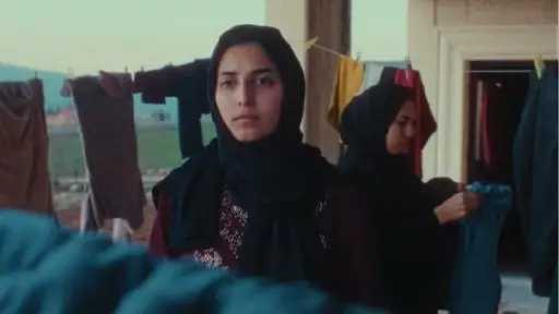 الفن