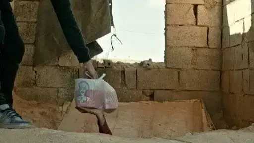 الفن