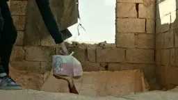 الفن