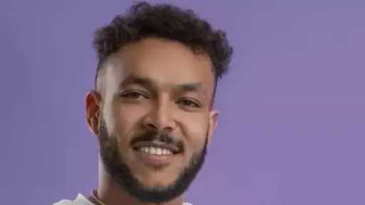 الفن
