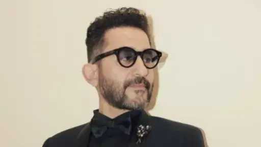 الفن