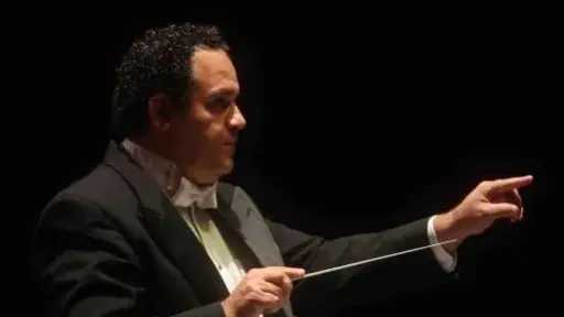 الفن