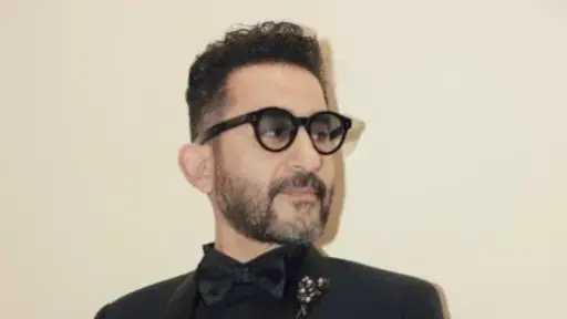 الفن